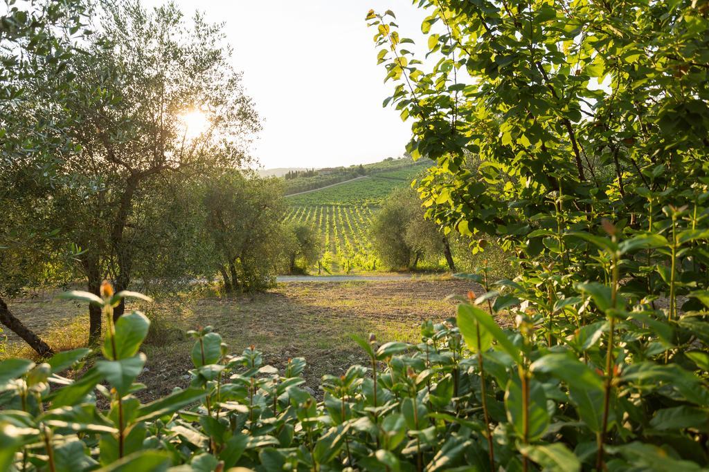 Tenuta Di Monaciano Ponte A Bozzone Ngoại thất bức ảnh