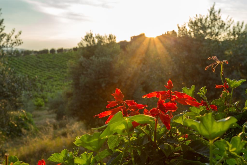 Tenuta Di Monaciano Ponte A Bozzone Ngoại thất bức ảnh
