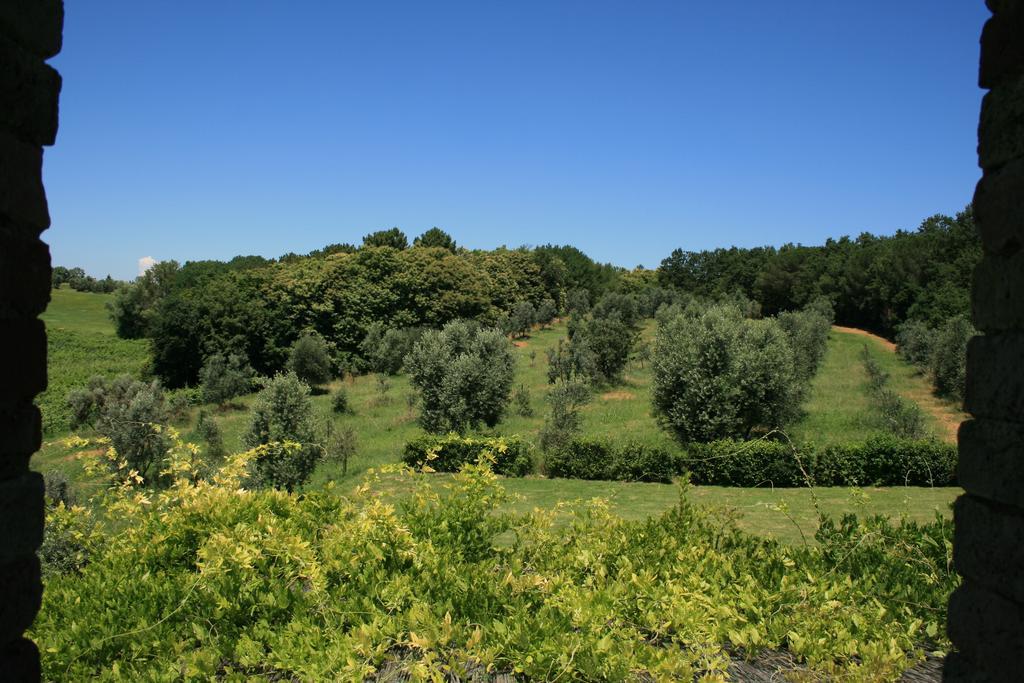 Tenuta Di Monaciano Ponte A Bozzone Phòng bức ảnh