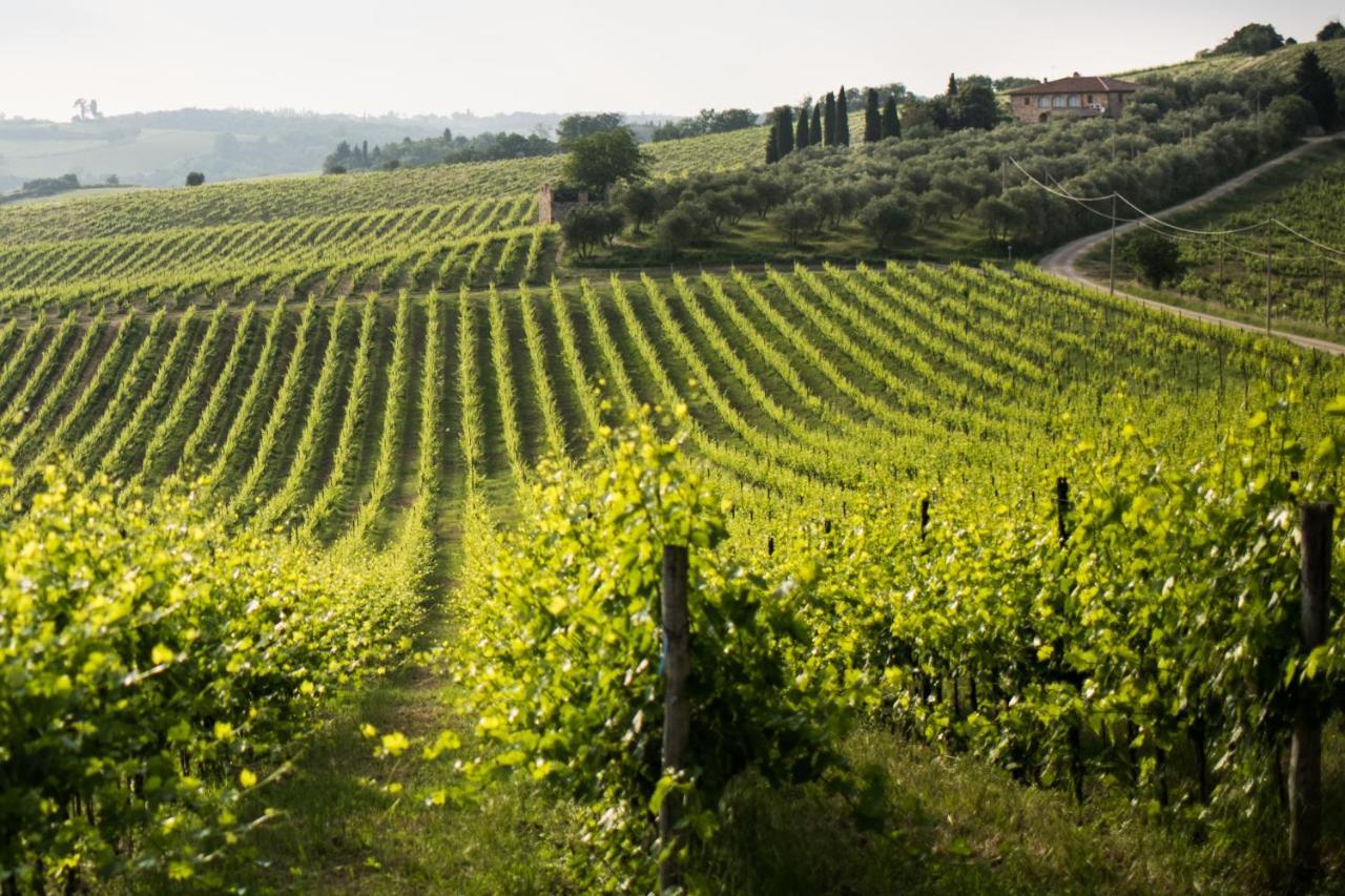 Tenuta Di Monaciano Ponte A Bozzone Ngoại thất bức ảnh